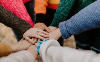 Successful Implementation of the SAI Initiative in North Macedonia   